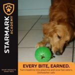 Treat Dispensing Chew Ball, Large - Image 5