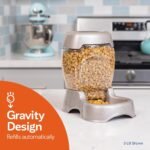 Petmate Pet Cafe Feeder for Dogs and Cats, Pearlescent - Image 2