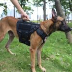 ICEFANG No Pull Tactical Dog Harness for Large Dogs,Adjustable Dog Vest - Image 3
