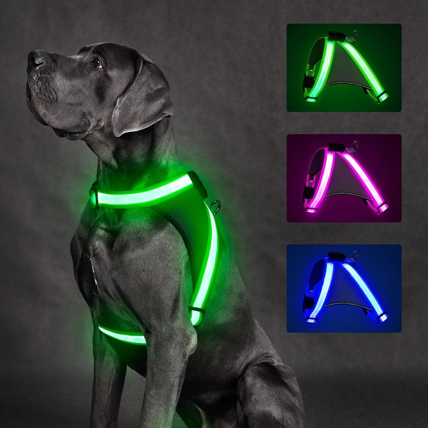 ChalkLit Light Up Dog Harness, No Pull Led Dog Harness Glow-in-The-Dark for Night Walking, USB Rechargeable Lighted Safety Vest for Medium Large Dogs, Adjustable Soft Mesh Fully Illuminated (Green, M) ChalkLit Light Up Dog Harness, No Pull Led Dog Harness Glow-in-The-Dark for Night Walking, USB Rechargeable Lighted Safety Vest for Medium Large Dogs, Adjustable Soft Mesh Fully Illuminated (Green, M)