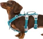 Huntboo Escape Proof Dog Harness, Escape Artist Harness, Fully Reflective Harness with Padded Handle, Breathable, Durable, Adjustable Vest for Small Dogs Walking, Training, and Running Gear (Teal,S)