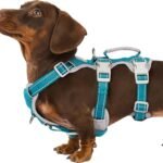 Huntboo Escape Proof Dog Harness, Escape Artist Harness, Fully Reflective Harness with Padded Handle, Breathable, Durable, Adjustable Vest for Small Dogs Walking, Training, and Running Gear (Teal,S)