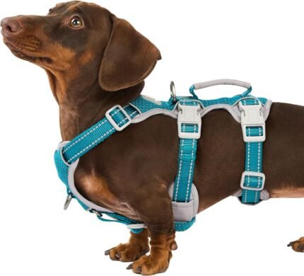 Huntboo Escape Proof Dog Harness, Escape Artist Harness, Fully Reflective Harness with Padded Handle, Breathable, Durable, Adjustable Vest for Small Dogs Walking, Training, and Running Gear (Teal,S)