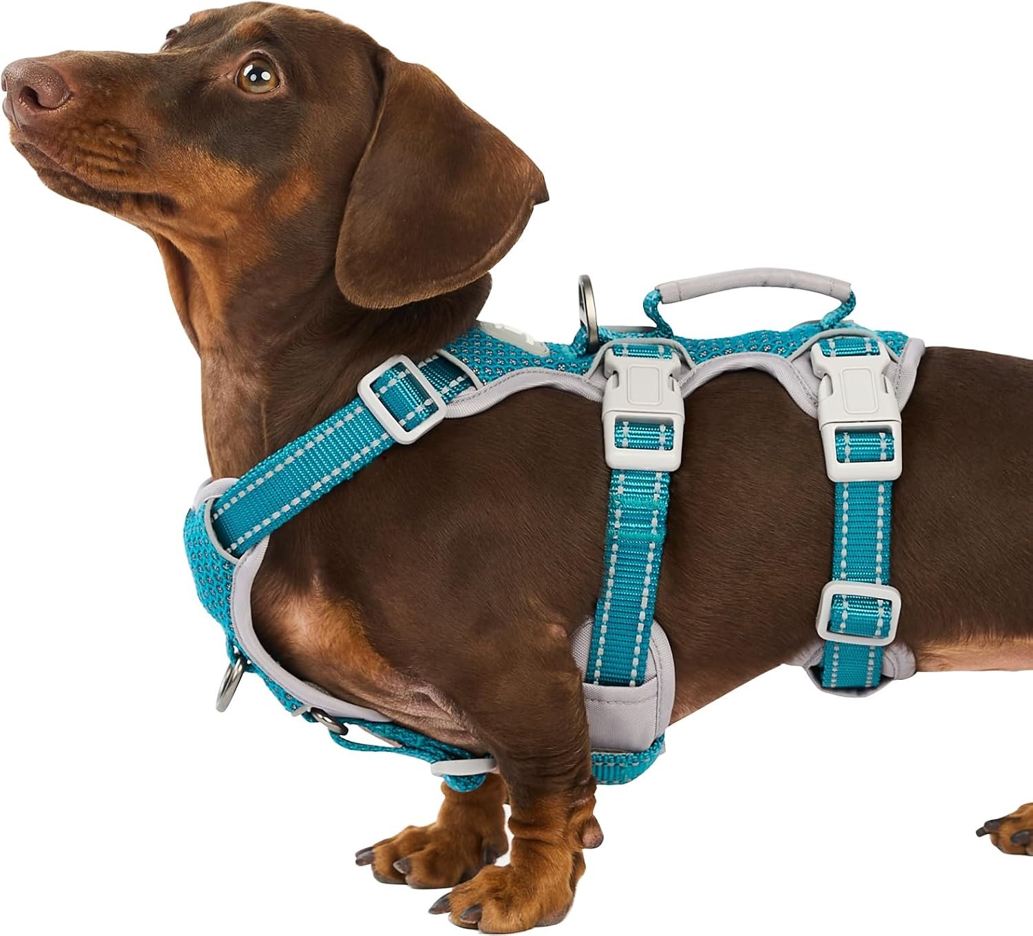 Huntboo Escape Proof Dog Harness, Escape Artist Harness, Fully Reflective Harness with Padded Handle, Breathable, Durable, Adjustable Vest for Small Dogs Walking, Training, and Running Gear (Teal,S) Huntboo Escape Proof Dog Harness, Escape Artist Harness, Fully Reflective Harness with Padded Handle, Breathable, Durable, Adjustable Vest for Small Dogs Walking, Training, and Running Gear (Teal,S)