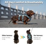 Huntboo Escape Proof Dog Harness, Escape Artist Harness, Fully Reflective Harness with Padded Handle, Breathable, Durable, Adjustable Vest for Small Dogs Walking, Training, and Running Gear (Teal,S) - Image 5
