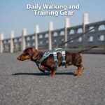 Huntboo Escape Proof Dog Harness, Escape Artist Harness, Fully Reflective Harness with Padded Handle, Breathable, Durable, Adjustable Vest for Small Dogs Walking, Training, and Running Gear (Teal,S) - Image 6