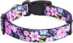 Mihqy Dog Collar for Medium Dogs, Fashion Design, Floral Pink,M - Image 2