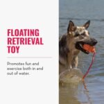 KONG Aqua Floating Fetch Toy, Natural Rubber, Orange, for Large Dogs - Image 3