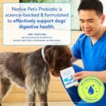 Native Pet Probiotics for Dogs – Dog Probiotic Powder for Gut & Digestive Health, Vet-Formulated 6B CFUs Dog-Specific Probiotic Strains, Supports Stool Quality & Diet Transitions – 240 Scoops - Image 6