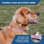 GoTags Reflective Personalized Dog Collar, Custom Embroidered Safety Collar - Image 2