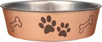 Loving Pets Bella Dog Bowls- Stainless Steel Dog & Cat Bowls – Spill Proof Dog Food Bowl, Cat Bowl, Puppy Essentials & Pet Supplies Great for Home & Travel (Medium 20-35 lbs, Champagne)