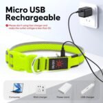 Flashseen LED Dog Collar, Light Up Dog Collar USB Rechargeable (Green, Medium) - Image 4