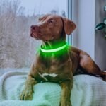 Flashseen LED Dog Collar, Light Up Dog Collar USB Rechargeable (Green, Medium) - Image 6