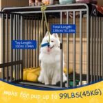 Interactive Dog Toys，Crate Training Aids for Puppies，Blue - Image 2