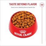 ROYAL CANIN German Shepherd Adult Dry Dog Food, 30 lb Bag - Image 4