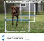 Better Sporting Dogs Agility Course Backyard Set - 7pc - Image 3