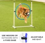 Better Sporting Dogs Agility Course Backyard Set - 7pc - Image 4