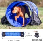 Better Sporting Dogs Agility Course Backyard Set - 7pc - Image 5