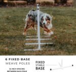 Better Sporting Dogs Agility Course Backyard Set - 7pc - Image 6