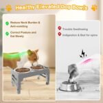 COMESOON Elevated Dog Bowls for Small Medium Dogs, 3 Height Adjustable Raised Stand with 2 Thick 6" Stainless Steel Food Bowls, Non-Slip Feeder Adjusts to 2.75", 6", 7.5", Grey - Image 4