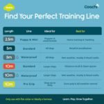 Coachi 5m (16ft) Dog Training Leash | Recall Training & Outdoor Exploration - Image 4