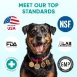 Hemp Calming Chews for Dogs - Dog Calming Chews for Anxiety Relief, Stress, Separation, Fireworks, Thunder, Travel, Vet Visits - USA Product - 120 Soft Treats with Melatonin, Chamomile, Passion Flower - Image 6