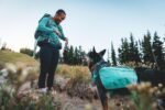 Ruffwear, Front Range Day Pack, River Rock Green, Medium - Image 2