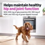 Amazon Basics Dog Hip & Joint Daily Supplement Chews with Glucosamine, MSM, and Vitamin C, Duck Flavored, 60 Count, Packaging May Vary - Image 3