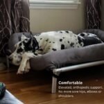 Kuranda Chewproof Elevated Dog Bed - Silver Aluminum - 40" x 25" - Heavy Duty Vinyl - Royal Blue - Image 4