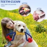 Aitmexcn Dog Rope Toy, Interactive Tug of War Toy for Medium and Large Dogs - Image 5