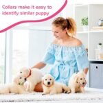 36 Pcs Puppy Collar and Leash Set, Adjustable Dog Collar and Leash - Image 6