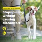 PetSafe Gentle Leader No Pull Dog Headcollar, Black, Medium - Image 2