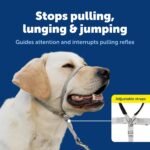 PetSafe Gentle Leader No Pull Dog Headcollar, Black, Medium - Image 3