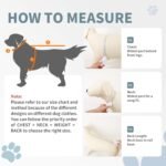2Pack Dog Cooling Shirts with Sun Protection,Misty Glade+Water Drop,XL - Image 7