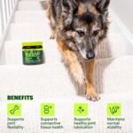Wuffes Advanced Hip & Joint Chews for Large Breed Dogs, Vet Recommended, Glucosamine, Chondroitin, MSM, Green-Lipped Mussel, Hyaluronic Acid & Omega-3s. Supports Mobility & Flexibility. 60 Pork Chews - Image 3