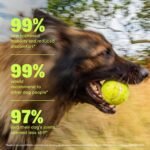 Wuffes Advanced Hip & Joint Chews for Large Breed Dogs, Vet Recommended, Glucosamine, Chondroitin, MSM, Green-Lipped Mussel, Hyaluronic Acid & Omega-3s. Supports Mobility & Flexibility. 60 Pork Chews - Image 4