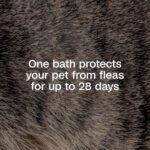 ADAMS Plus Flea & Tick Shampoo with Precor for Dogs & Cats, 6 oz - Image 3