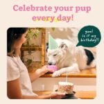 WOOF Pupsicle Interactive Dog Ball Toy for Dogs Large 25-75 lbs - Pink - Image 3