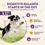 Probiotics for Dogs 200pcs Dog Probiotics for Digestive Health Chicken - Image 2