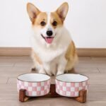 Ceramic Checkered Dog Bowls for Medium Dogs - Image 5