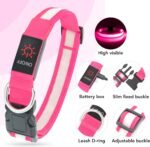 VIZPET LED Dog Collar, Light up Dog Collar Adjustable Safety Glowing Collar - Image 4
