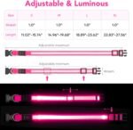 VIZPET LED Dog Collar, Light up Dog Collar Adjustable Safety Glowing Collar - Image 5