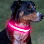 VIZPET LED Dog Collar, Light up Dog Collar Adjustable Safety Glowing Collar - Image 7