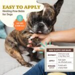 Natural Dog Company Paw Soother Dog Paw Balm – 1 oz Tin - Image 4