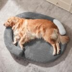 JOEJOY XL Orthopedic Dog Beds Large Sized Dog, Extra Large Washable Waterproof Oval Large Dog Bed with Removable Cover, Egg-Crate Foam Pet Bed with Bolster & Non-Skid Bottom, Dark Grey, 42''x32'' - Image 5