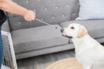 Trixie Target Stick, Assorted Color - Image 7