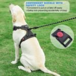 tobeDRI No Pull Dog Harness Adjustable Reflective Oxford Easy Control Medium Large Dog Harness with A Free Heavy Duty 5ft Dog Leash, Blue, L - Image 4