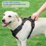 tobeDRI No Pull Dog Harness Adjustable Reflective Oxford Easy Control Medium Large Dog Harness with A Free Heavy Duty 5ft Dog Leash, Blue, L - Image 5