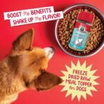Charlee Bear Freeze Dried Salmon Dog Food Topper, Hip & Joint, 1 oz - Image 3