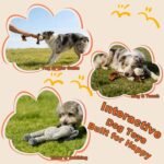 Monkey Rope Dog Toy, Plush Elephant Squeaky Dog Toy, 2 Pack - Image 5